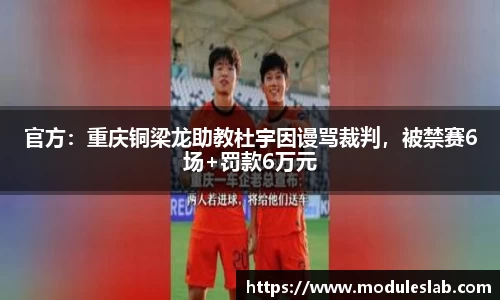 官方：重庆铜梁龙助教杜宇因谩骂裁判，被禁赛6场+罚款6万元